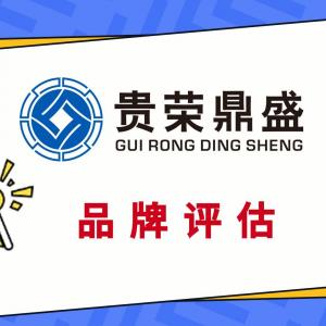 呼和浩特市品牌价值评估商标评估专利实缴评估软著出资评估