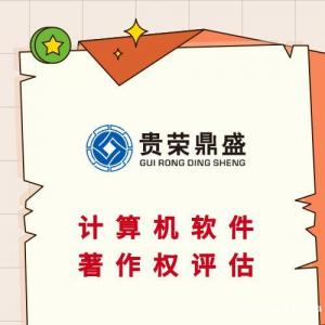 阜阳市专利实缴评估知识产权评估商标出资评估软著价值评估