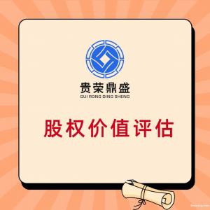 九江市企业股权价值评估股东价值评估企业负债评估