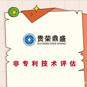 河南省商丘市网站商誉评估APP专利评估非专利技术评估