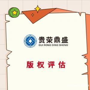 湖北省宜昌市专利评估知识产权评估方法有哪些字号评估公司