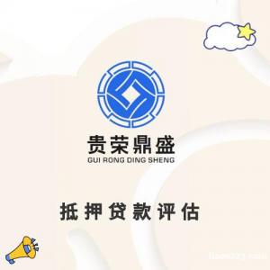 南宁市抵押**评估破产清算评估