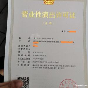 成都青羊区文艺表演团体设立审批申请指南