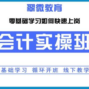 坂田华为 会计实操电脑手工做账 零基础入学