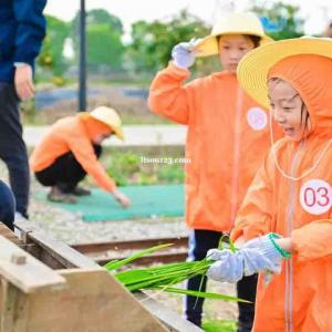 苏州中小学研学旅行户外拓展活动挖红薯割稻子探索体验课报名中