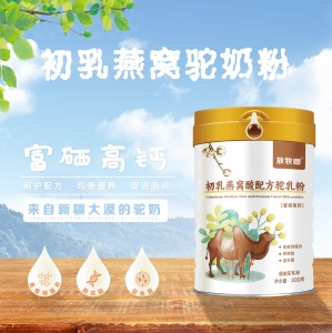 新疆放牧啷初乳燕窝酸配方驼乳粉