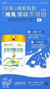 阿尔泰驼全脂乳粉|新疆特产|高营养的乳制品