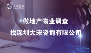 大宋咨询（深圳商业地产调查）关于商业地产市场调研流程要点详解