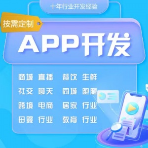 APP开发定制商城家政CRM教育物联网mes软件OA制作微信