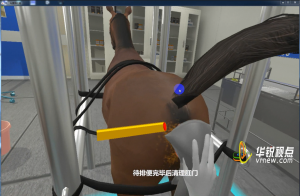 马直肠检查VR模拟实操_3D虚拟仿真实验开发_广州华锐互动