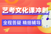 沈阳韦德教育艺考文化课冲刺