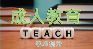 四川农业大学成人高等教育2024年成人高考招生简章