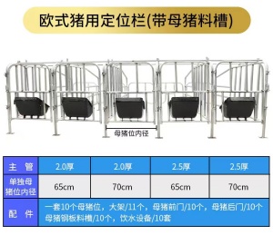 母猪定位栏 养殖定位栏 母猪限位栏