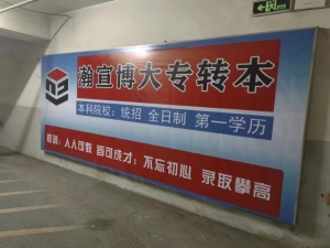 要想上岸专转本，你需要做些什么