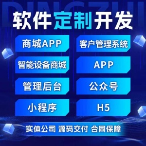 软件定制开发APP开发定制商城OA系统ERP系统物联网系统小