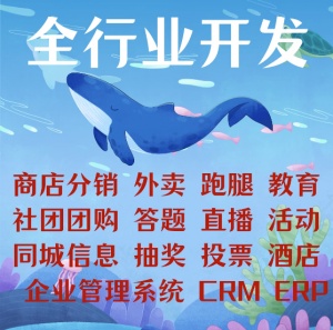 软件开发定制ERP进销存CRM客户企业OA办公管理系统生产制