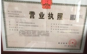 转让上海xx环保科技有限公司