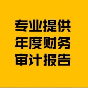 出审计报告，验资报告