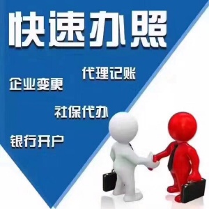 上海xx商务咨询有限公司公司工商税务正常，法人随时变更