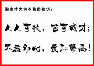 淮安五年制专转本辅导班英语专业课全科辅导安心备考